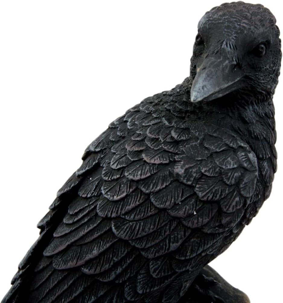 Amazon.com: Pacific Giftware Dark Raven Crow Perched On Tree Stump
